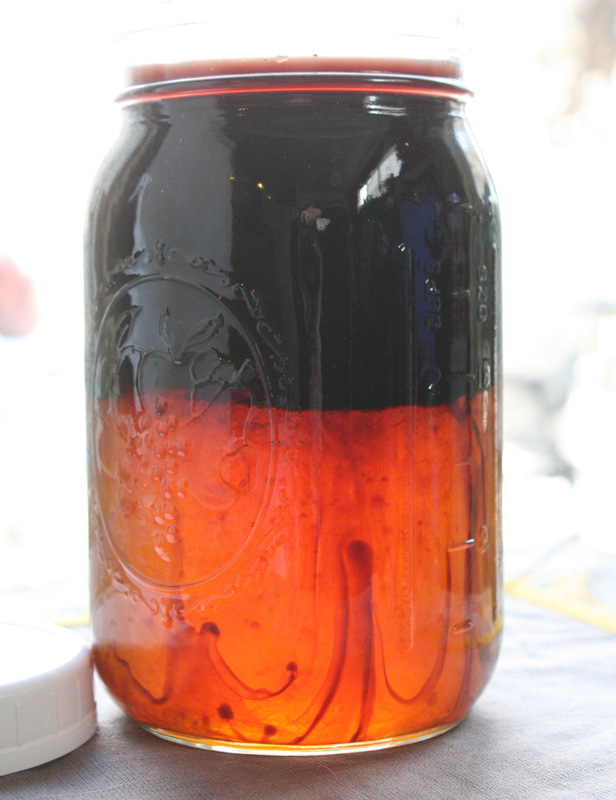 Holy Basil-Elderberry Shrub Recipe {wholly rooted}