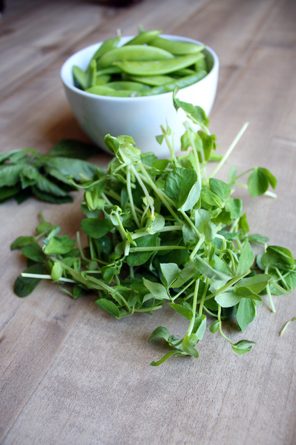 Snap Pea & Pea Shoot Stir Fry @whollyrooted.com