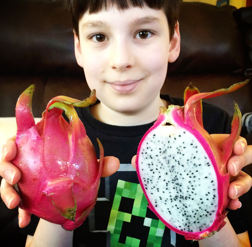 Dragon Fruit {wholly rooted}