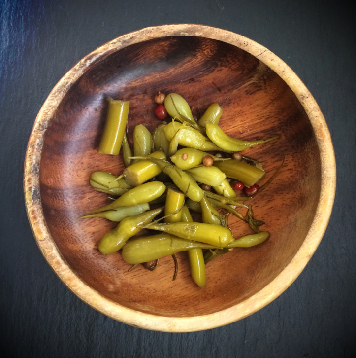 radish pod-garlic scape refrigerator pickle {wholly rooted}