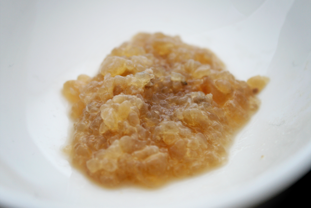 water kefir grains  {wholly rooted}