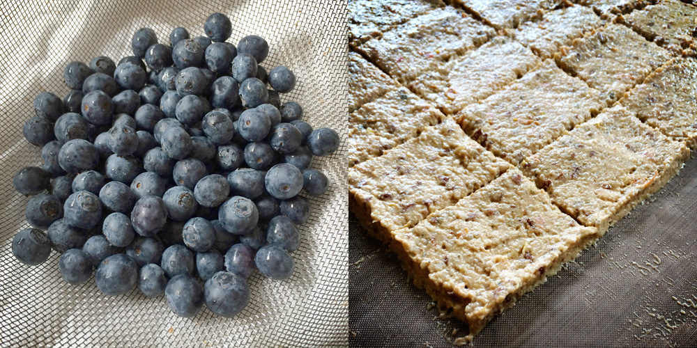 blueberries & seed crackers for dehydrator {wholly rooted}