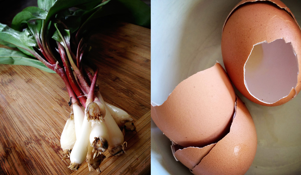ramps! eggs for the garden {wholly rooted}