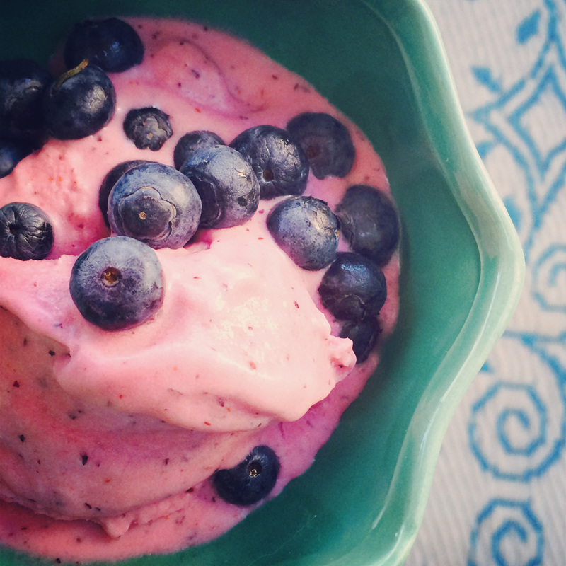 DF coconut milk blueberry-lemon gelato  {wholly rooted}