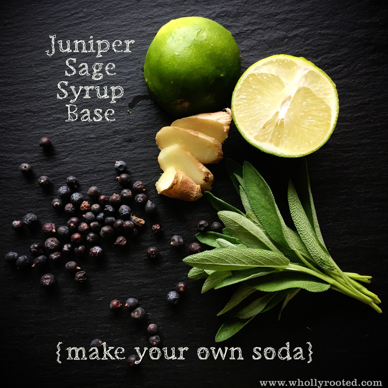 DIY Soda: Juniper-Sage Drink Syrup www.whollyrooted.com