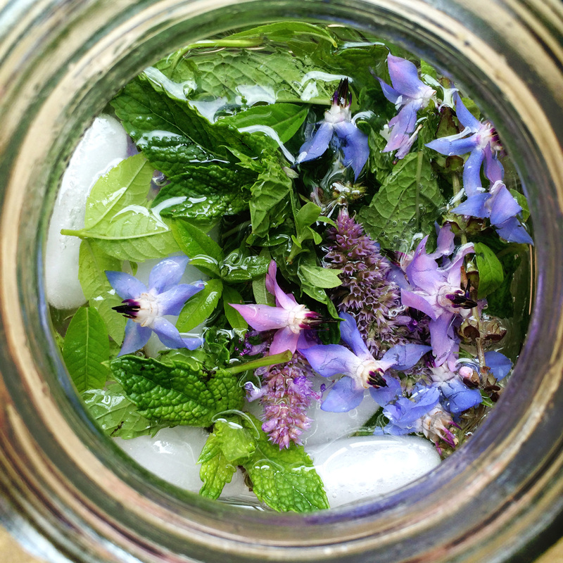 herb infused water  {wholly rooted}