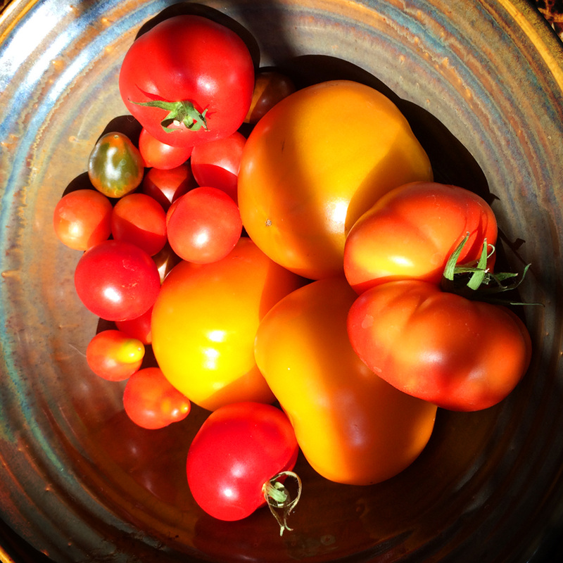tomato season {wholly rooted}