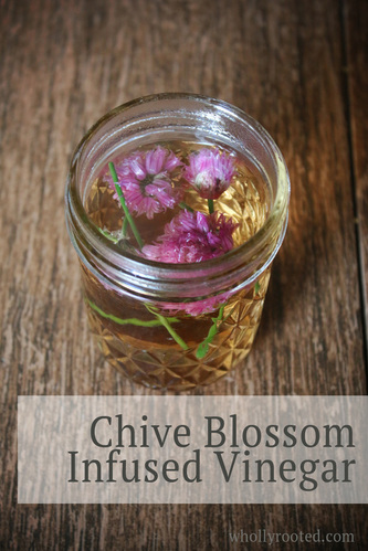 Chive Blossom Infused Vinegar whollyrooted.com